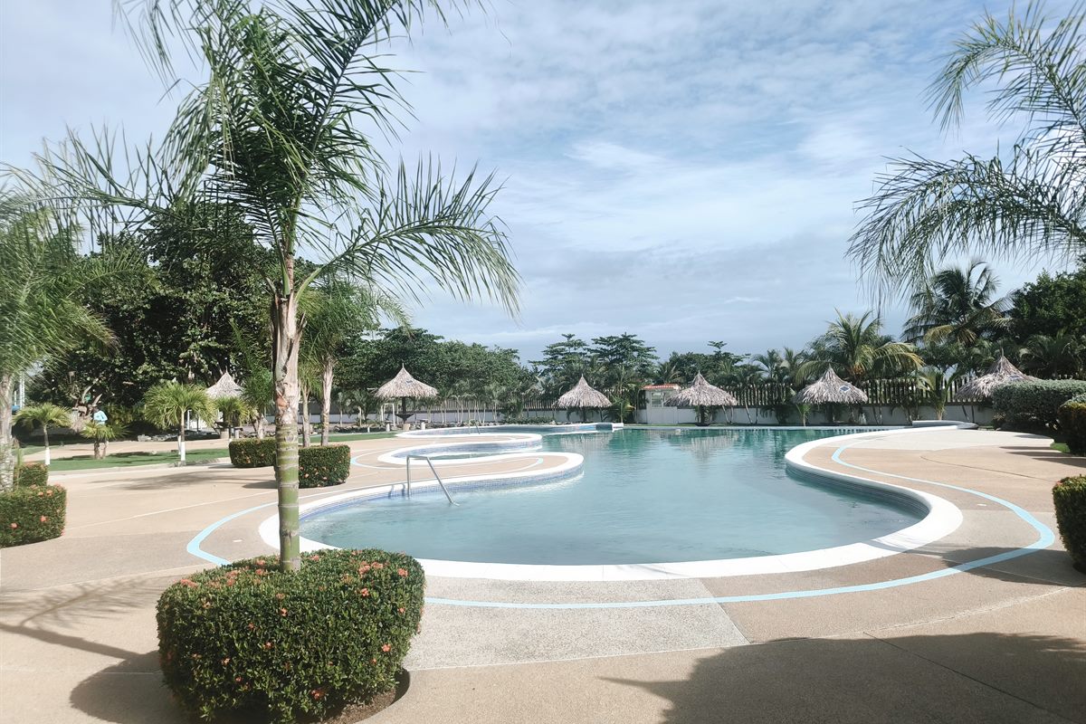 Piscina rodeada de palmeras y churuatas
