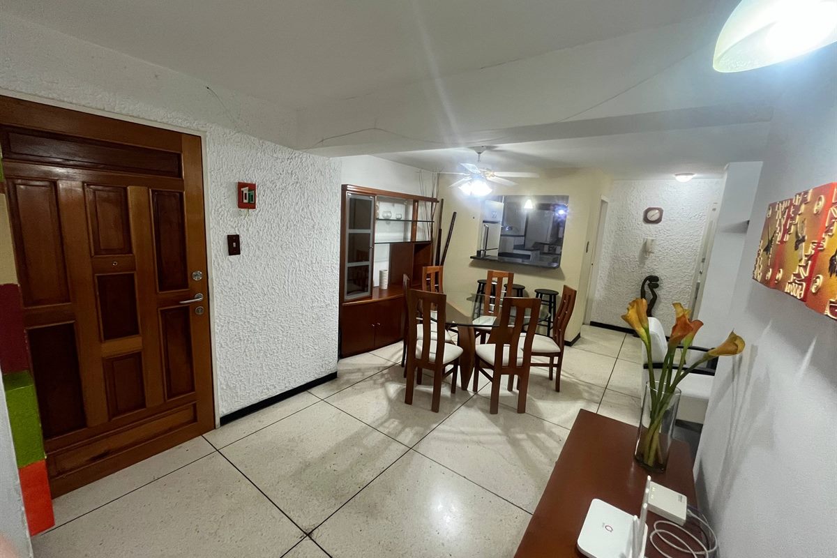 Sala y comedor integrados con luz natural